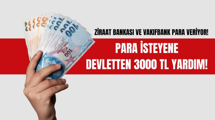 Emekli Maaş Farkı Sonrasında Avans Müjdesi! Temmuz Sonuna Kadar 3000 TL Alınacak