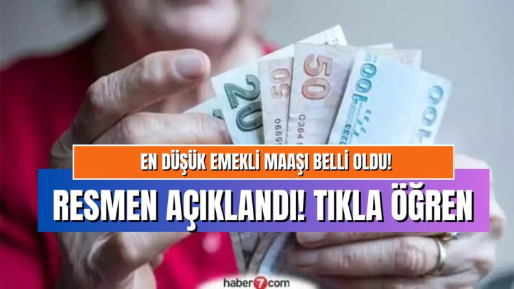 En Düşük Emekli Maaşı Kaç Lira Oldu? Emekli Maaşları Farkları Ne Zaman Ödenecek?