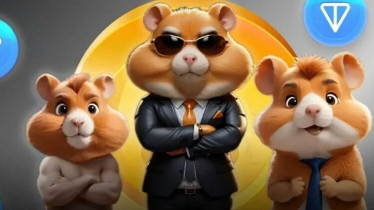 Hamster Kombat Günlük Kombo Kartları 19 Temmuz 2024